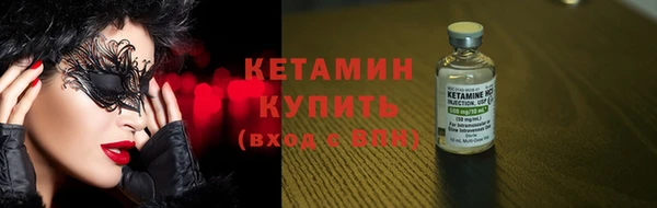 шишки Бородино